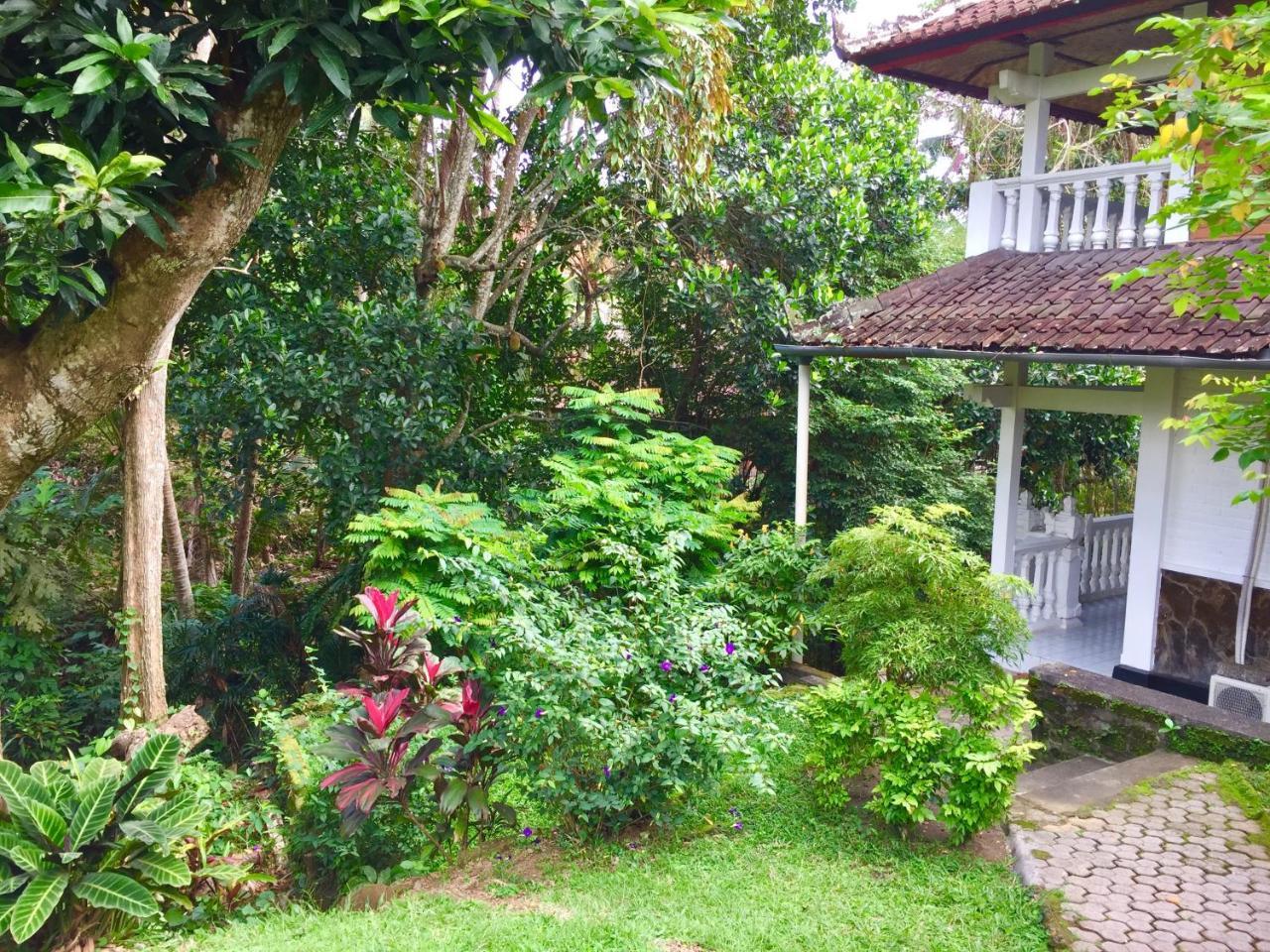 Griya Jungutan Bed & Breakfast 2*
